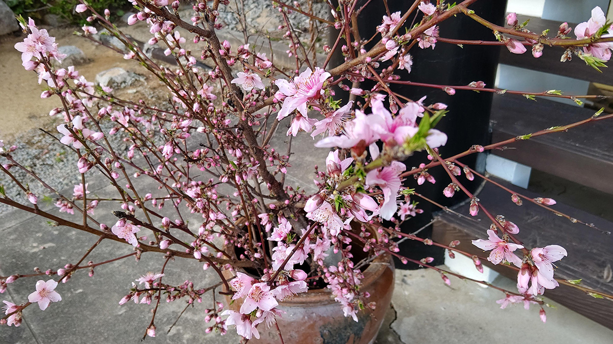 土砂加持法要・施餓鬼法要