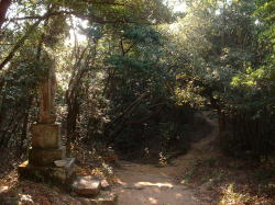 22番 奥の院の右手階段を下りていくとあります。左右に道が分かれますが、右の小道を登っていきます。