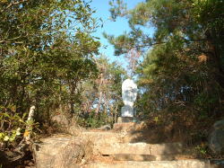 28番 石段を降りていきます。