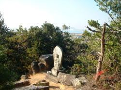 5番 遠くに秋穂湾が見えます。