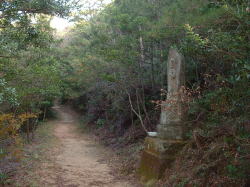 8番 山道を進みます。