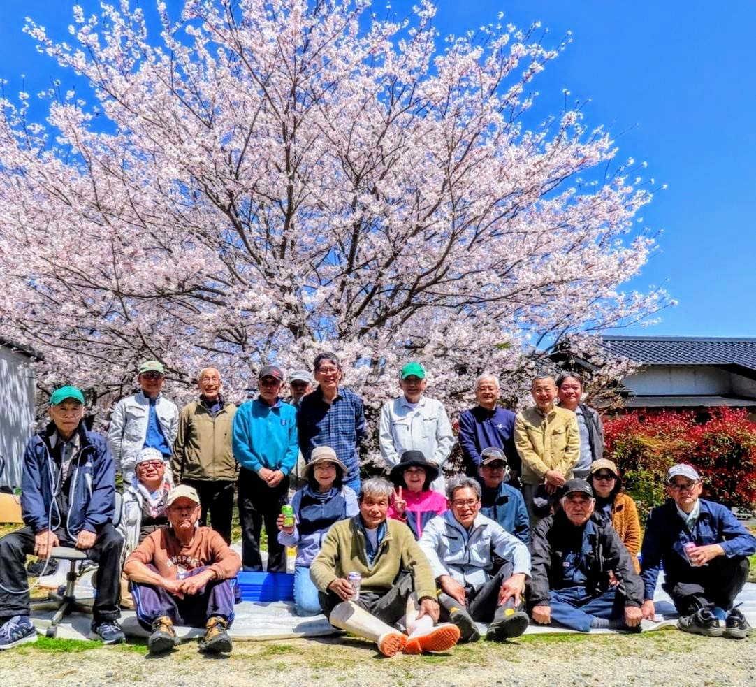 桜の下での集合写真