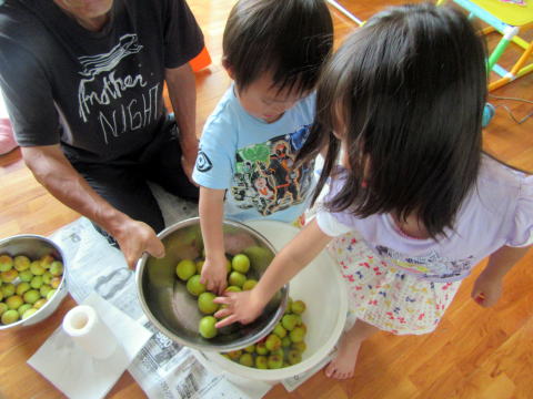 お手伝い　梅干し漬け