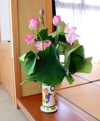 開山忌　～蓮の花～