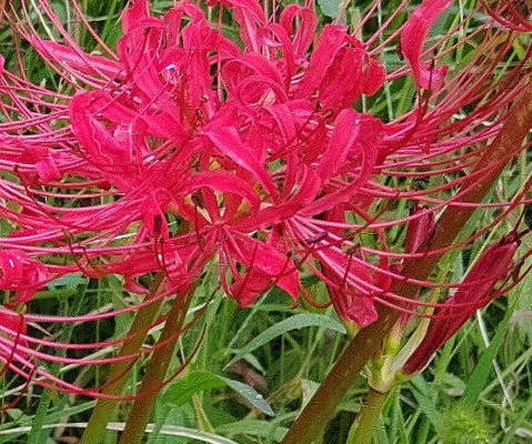 IMG_20200916_180401_26011