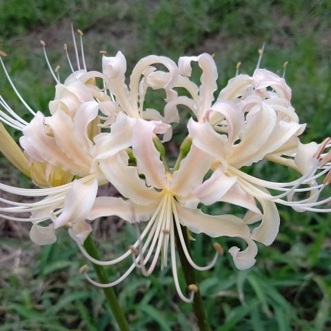 IMG_20200923_200840_8641