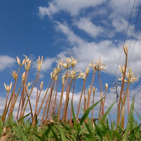 IMG_20200923_200840_8661