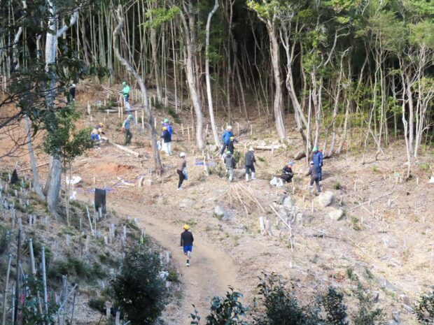 二島小学校6年生 卒業記念の桜を植樹