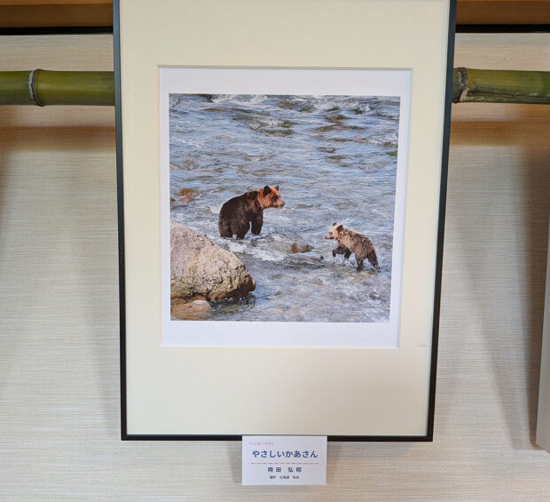 写真