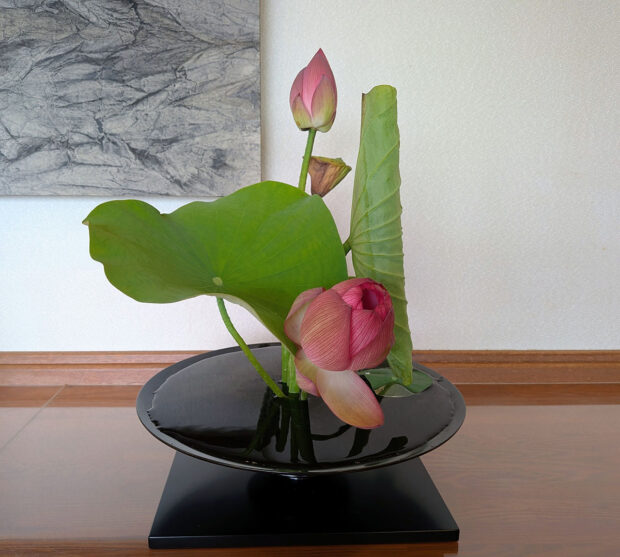 蓮の花 玄関