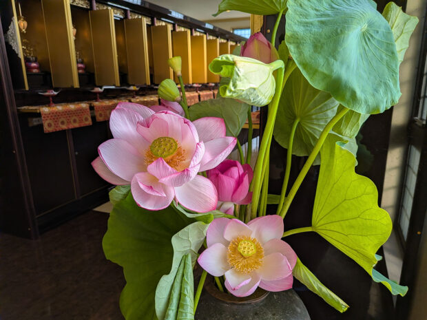 蓮の花 位牌壇入口